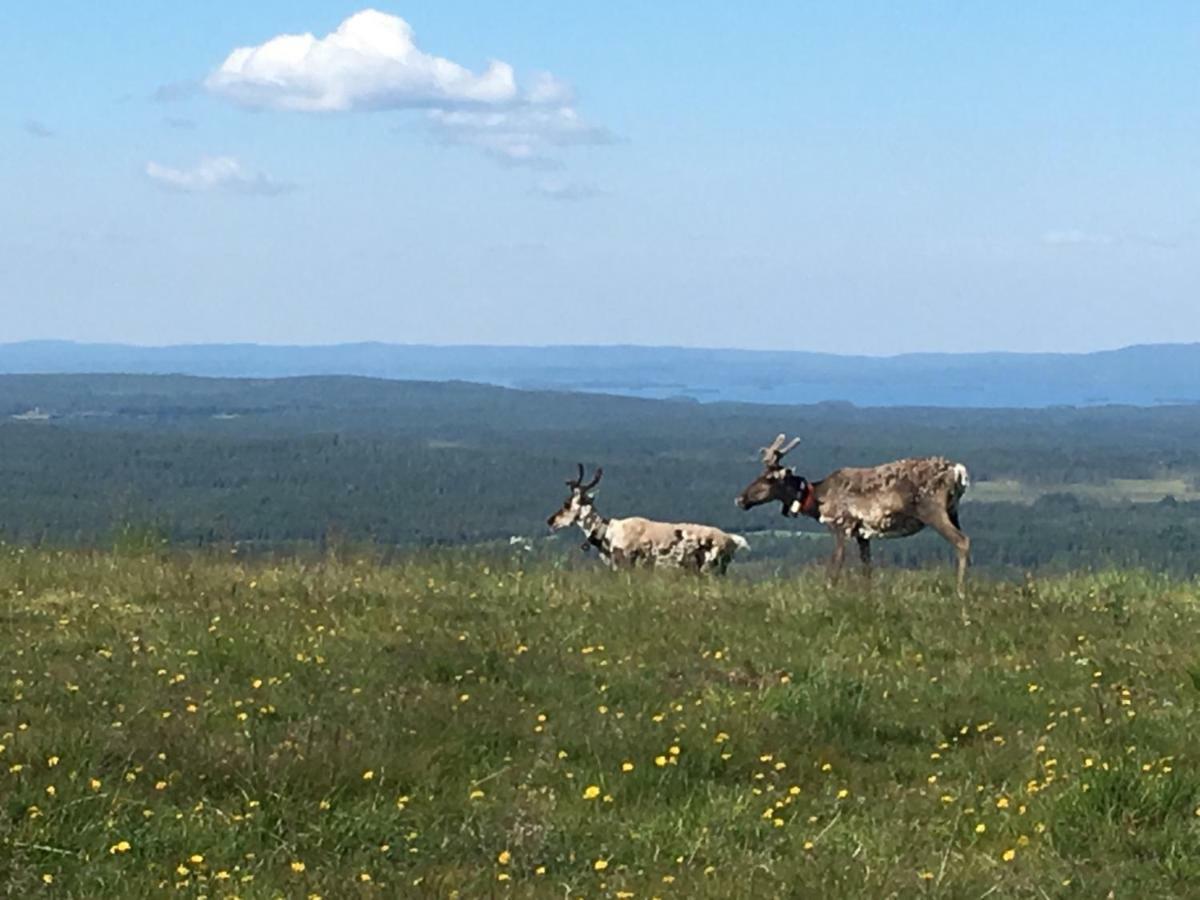 Rukansalmi Exteriér fotografie